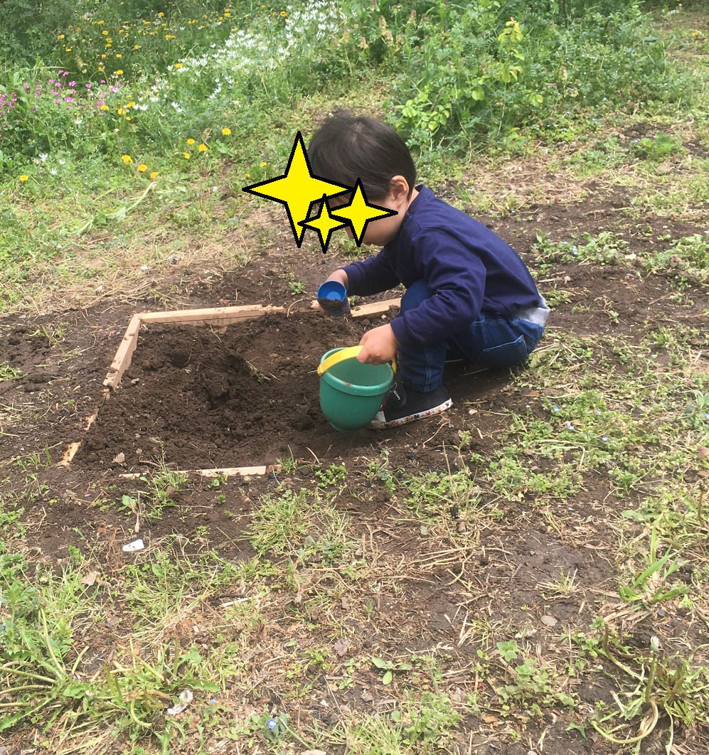お庭にミニ砂場を作りました 力を合わせて新型コロナを乗り越えよう お庭がある家はない家に公園を譲ろう 実録 全メニュー公開 私の離乳食１年間 レシピつき