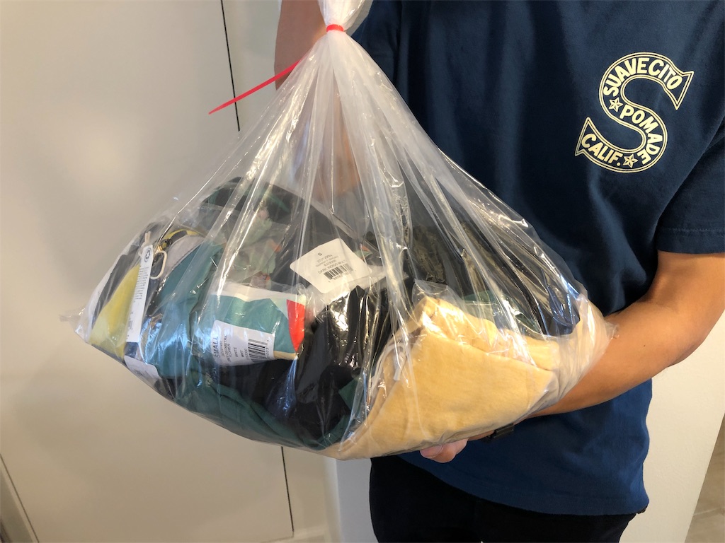 f:id:MAEKOjp:20190626141611j:image