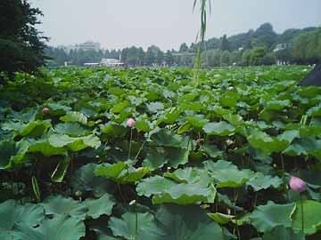 f:id:MAGAMI-TOHRU:20070204145602j:image f:id:MAGAMI-TOHRU:20070204145602j:image