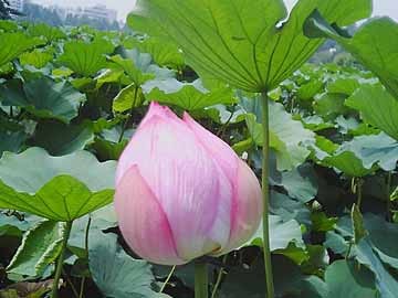 f:id:MAGAMI-TOHRU:20070204145635j:image f:id:MAGAMI-TOHRU:20070204145635j:image