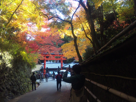 f:id:MAGAMI-TOHRU:20101124011754j:image