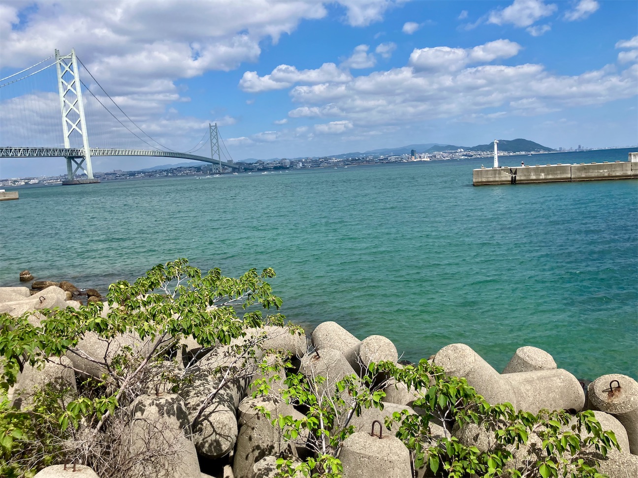 f:id:MAGJAPAN:20260923064049j:image