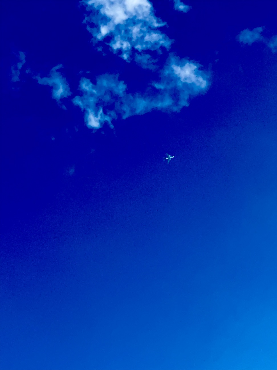 f:id:MAGJAPAN:20260923064157j:image