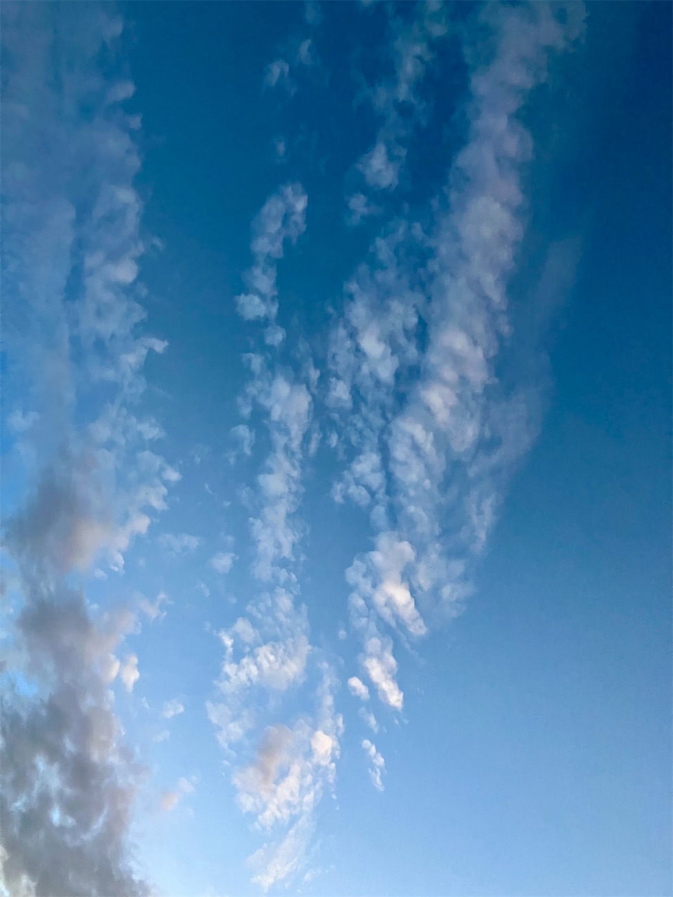 f:id:MAGJAPAN:20261022180331j:image