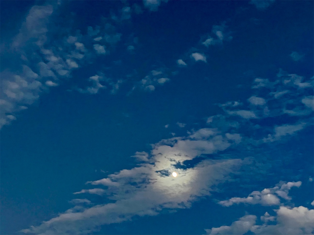 f:id:MAGJAPAN:20261022180332j:image