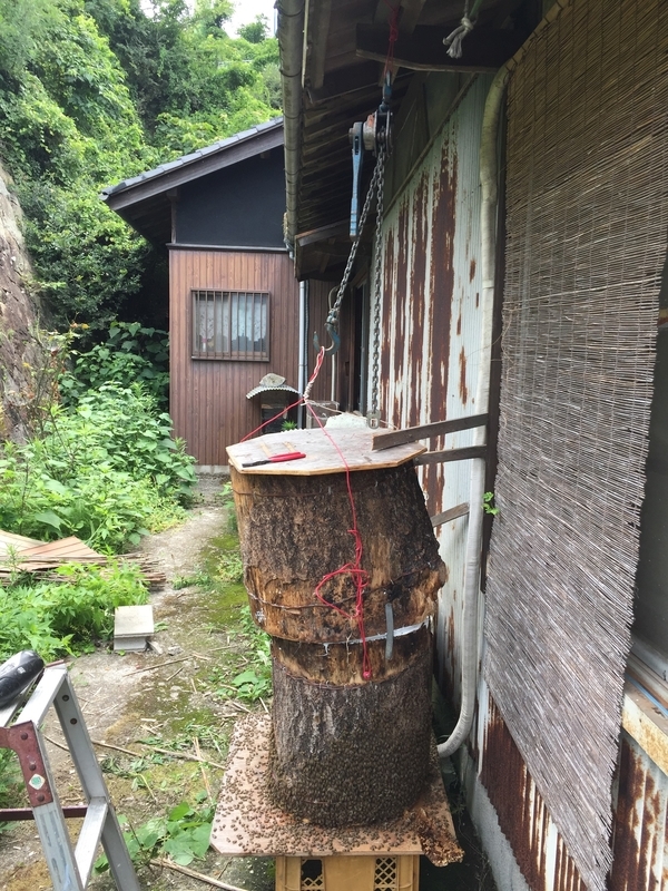 イメージ 2
