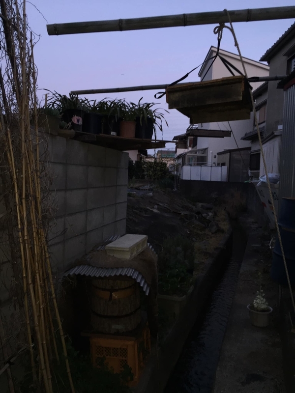 イメージ 1