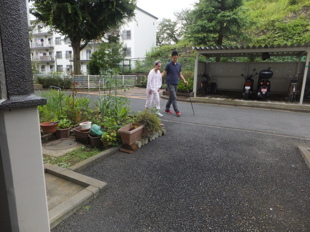 f:id:MAIKALFUJIO:20160717233045j:plain f:id:MAIKALFUJIO:20160717233045j:plain