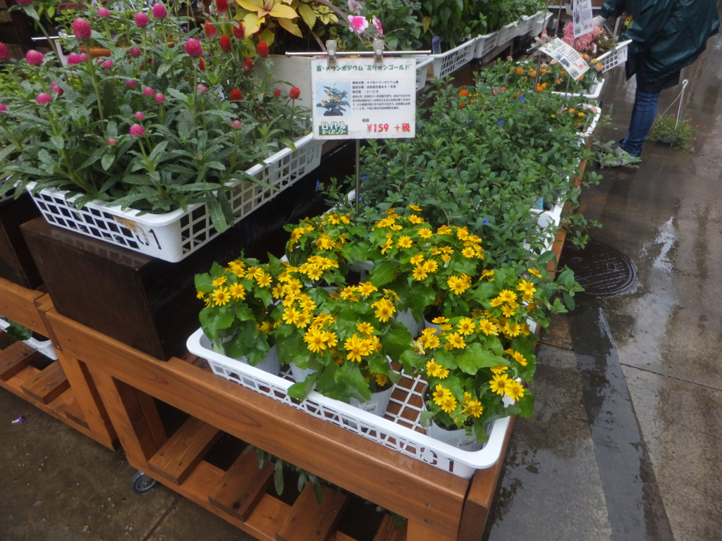 f:id:MAIKALFUJIO:20160721231445j:plain f:id:MAIKALFUJIO:20160721231445j:plain