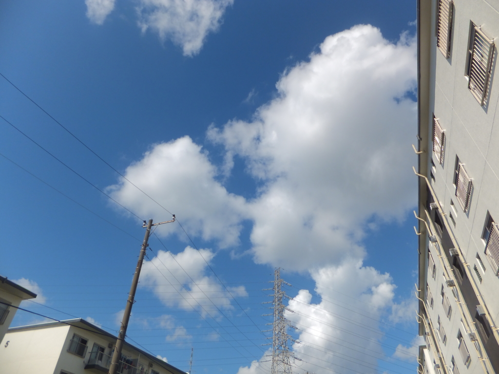 f:id:MAIKALFUJIO:20160825222241j:plain f:id:MAIKALFUJIO:20160825222241j:plain