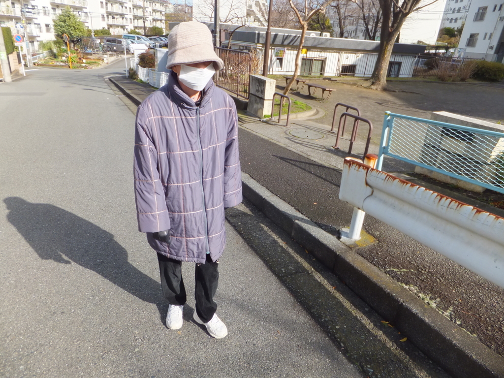 f:id:MAIKALFUJIO:20170110221254j:plain