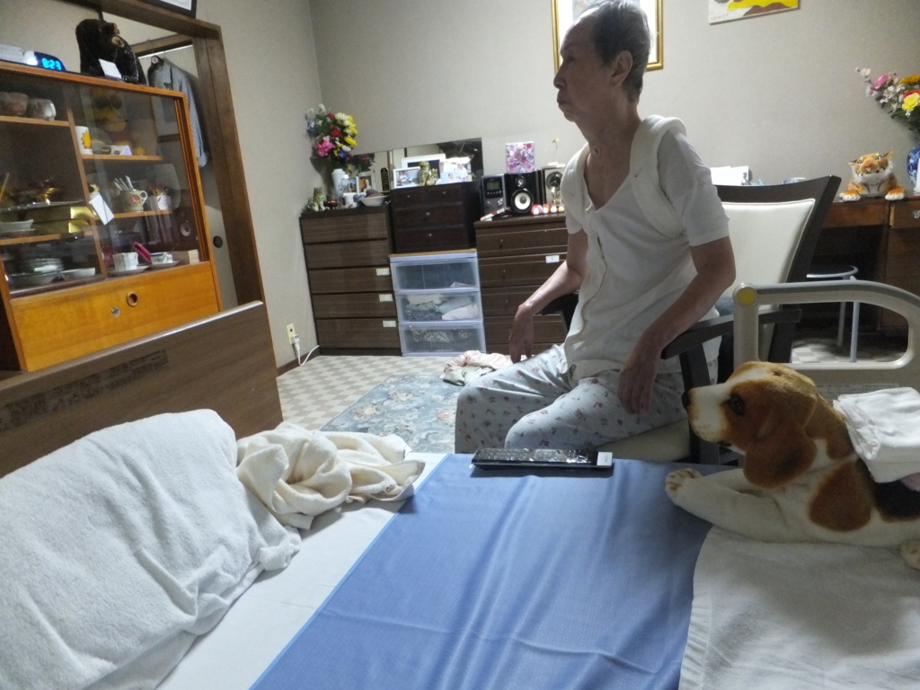 f:id:MAIKALFUJIO:20170703231944j:plain f:id:MAIKALFUJIO:20170703231944j:plain