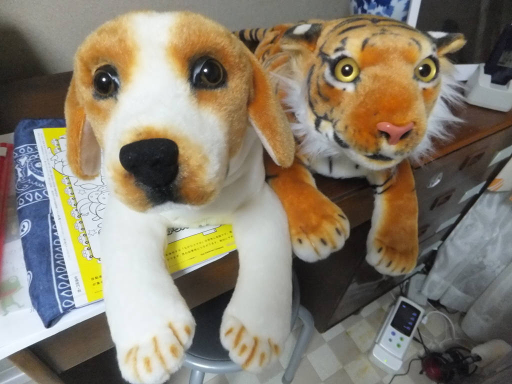 f:id:MAIKALFUJIO:20170709220725j:plain f:id:MAIKALFUJIO:20170709220725j:plain