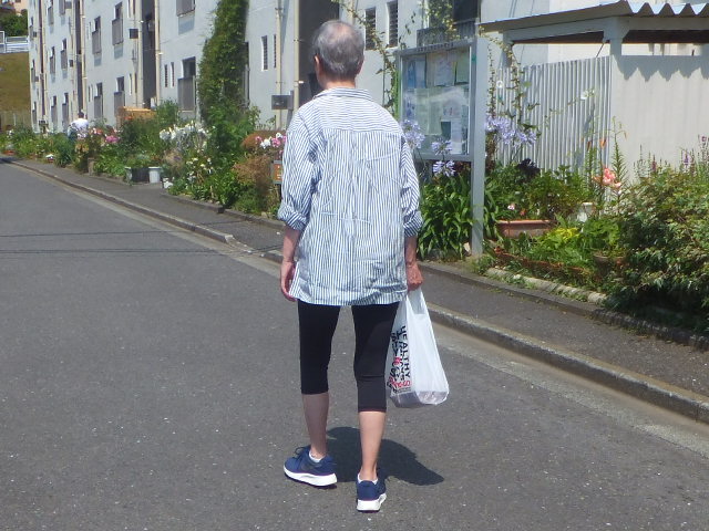 f:id:MAIKALFUJIO:20170709221323j:plain f:id:MAIKALFUJIO:20170709221323j:plain