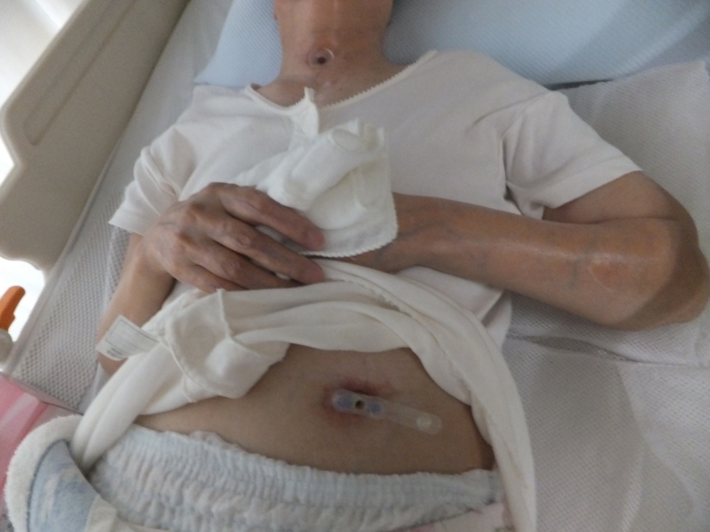 f:id:MAIKALFUJIO:20170711224356j:plain f:id:MAIKALFUJIO:20170711224356j:plain