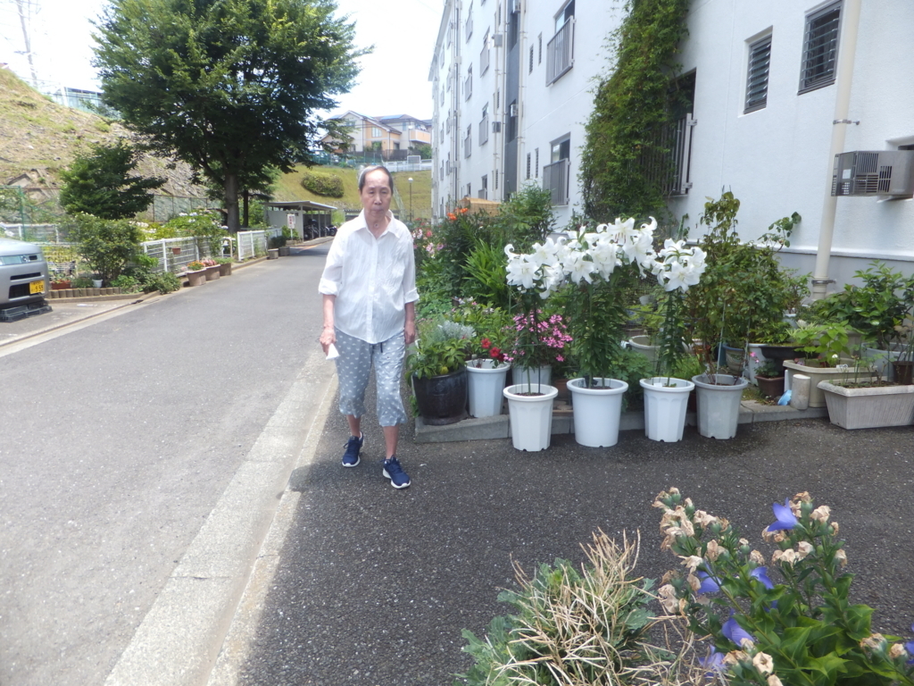 f:id:MAIKALFUJIO:20170711225136j:plain f:id:MAIKALFUJIO:20170711225136j:plain