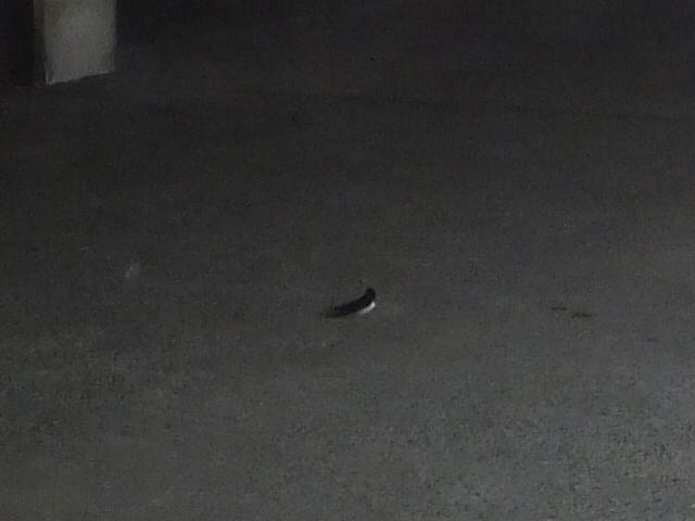 f:id:MAIKALFUJIO:20170713223002j:plain f:id:MAIKALFUJIO:20170713223002j:plain