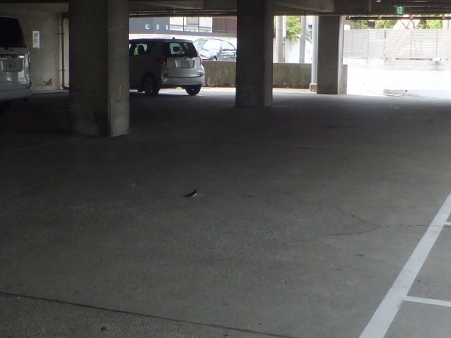 f:id:MAIKALFUJIO:20170713223223j:plain f:id:MAIKALFUJIO:20170713223223j:plain