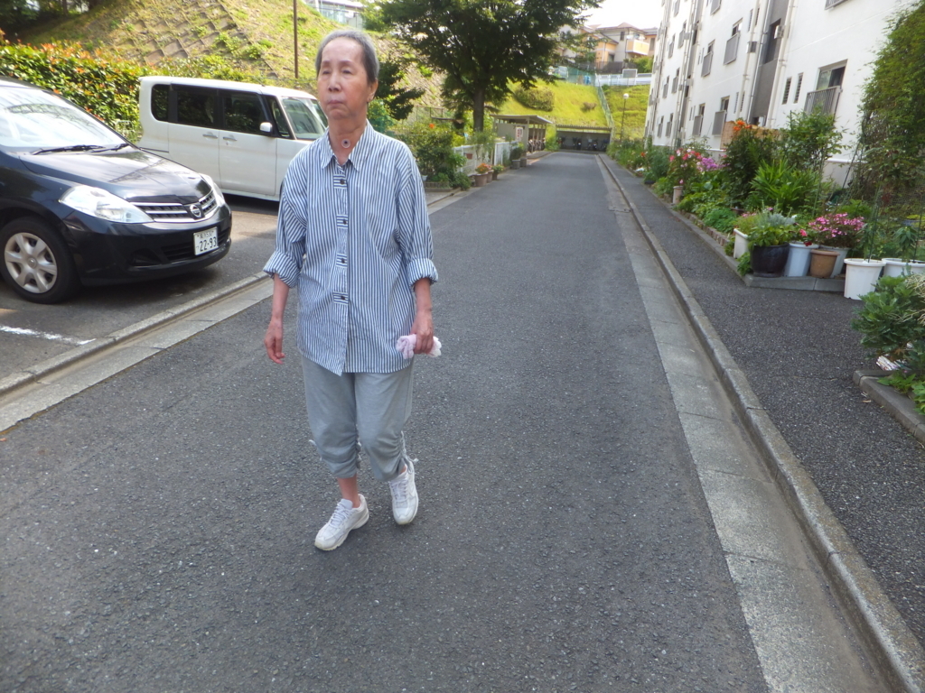 f:id:MAIKALFUJIO:20170720224510j:plain f:id:MAIKALFUJIO:20170720224510j:plain