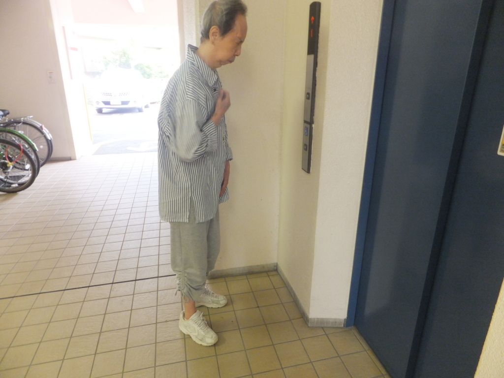 f:id:MAIKALFUJIO:20170727225822j:plain f:id:MAIKALFUJIO:20170727225822j:plain