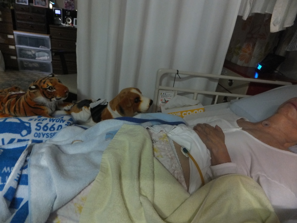 f:id:MAIKALFUJIO:20170727230723j:plain f:id:MAIKALFUJIO:20170727230723j:plain