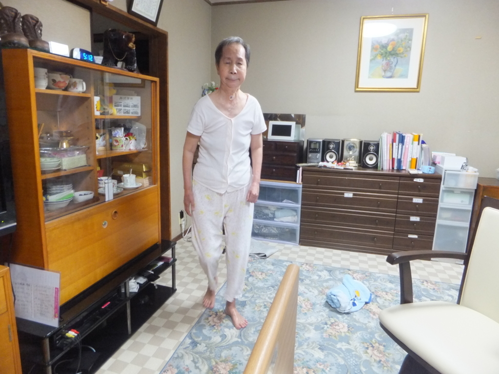 f:id:MAIKALFUJIO:20170730222252j:plain f:id:MAIKALFUJIO:20170730222252j:plain