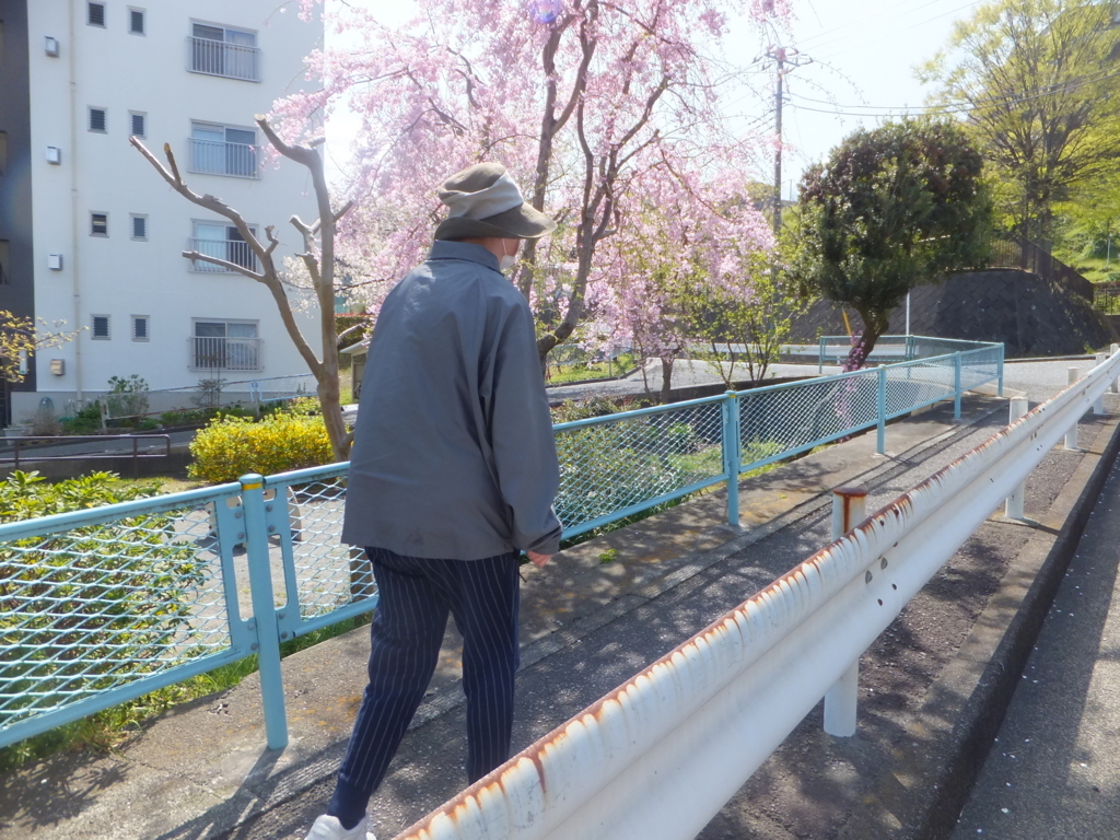 f:id:MAIKALFUJIO:20180401213141j:plain f:id:MAIKALFUJIO:20180401213141j:plain