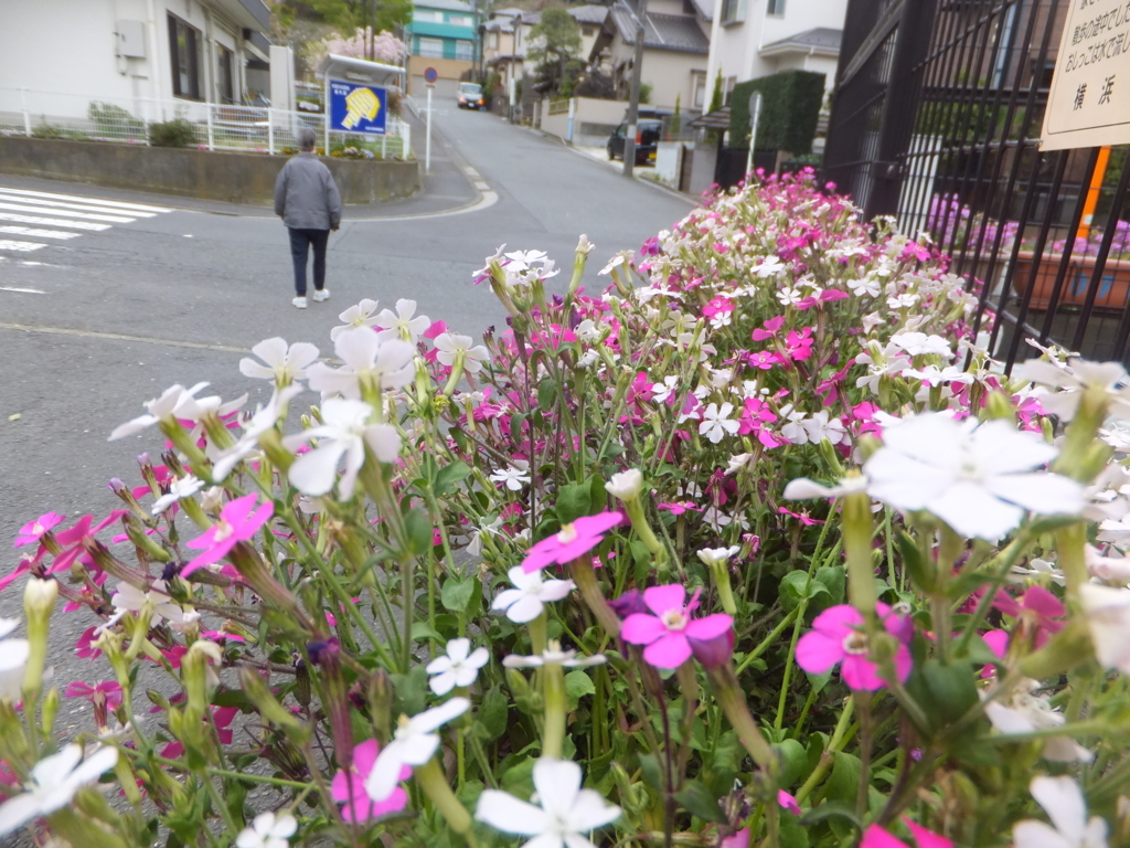 f:id:MAIKALFUJIO:20180406210107j:plain f:id:MAIKALFUJIO:20180406210107j:plain