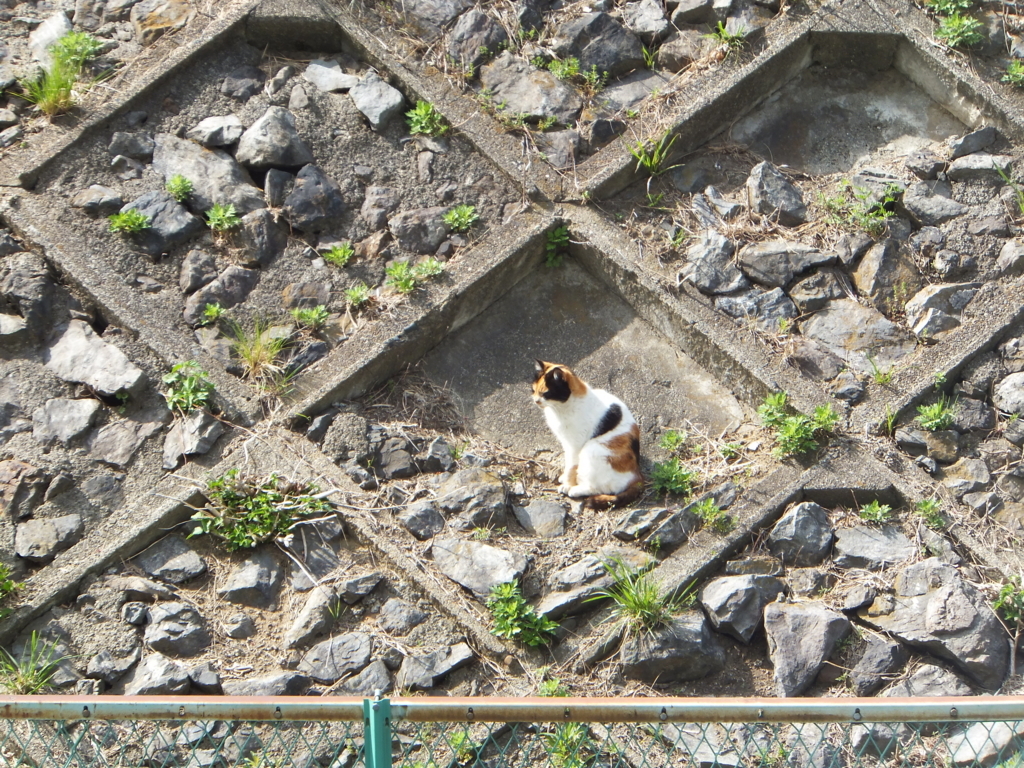 f:id:MAIKALFUJIO:20180411205051j:plain f:id:MAIKALFUJIO:20180411205051j:plain