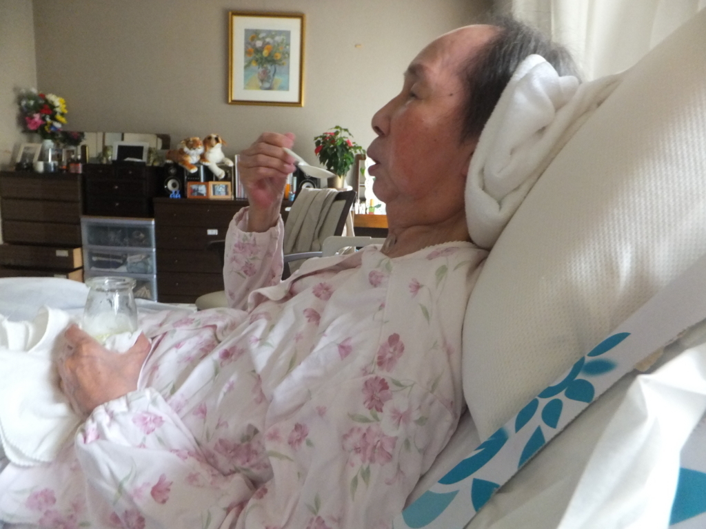 f:id:MAIKALFUJIO:20180411205909j:plain f:id:MAIKALFUJIO:20180411205909j:plain