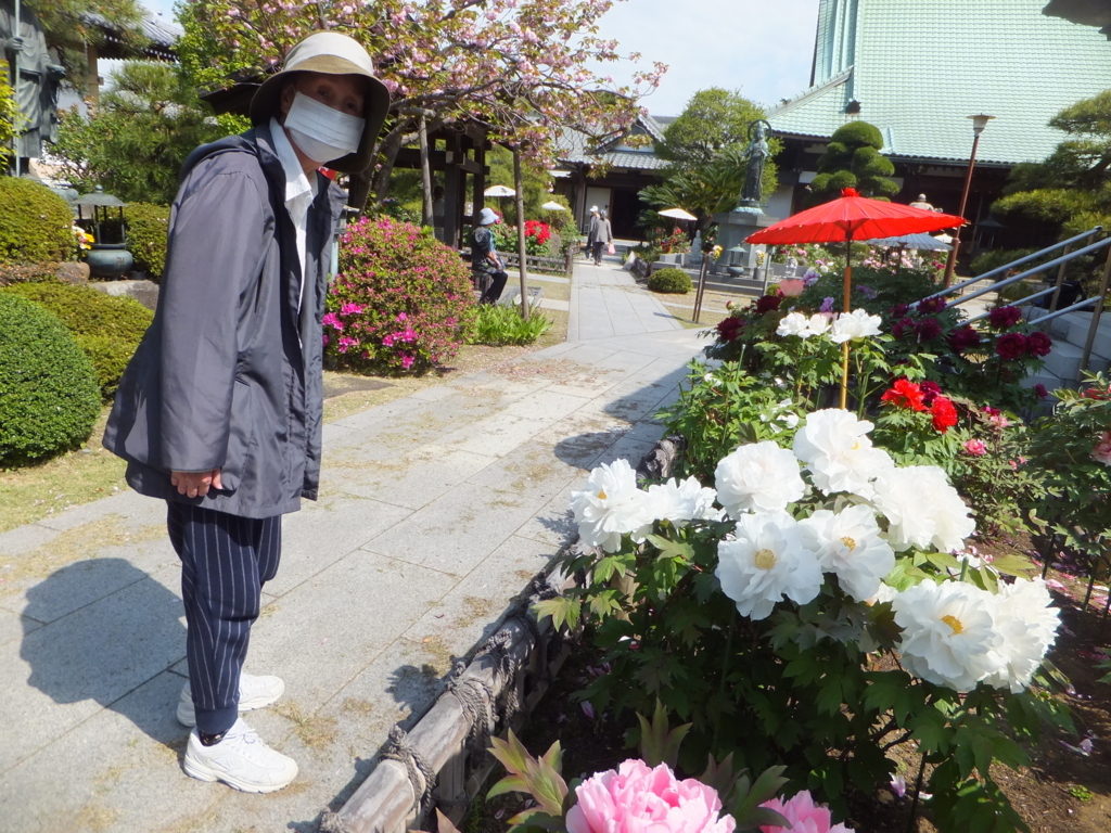 f:id:MAIKALFUJIO:20180413202206j:plain f:id:MAIKALFUJIO:20180413202206j:plain