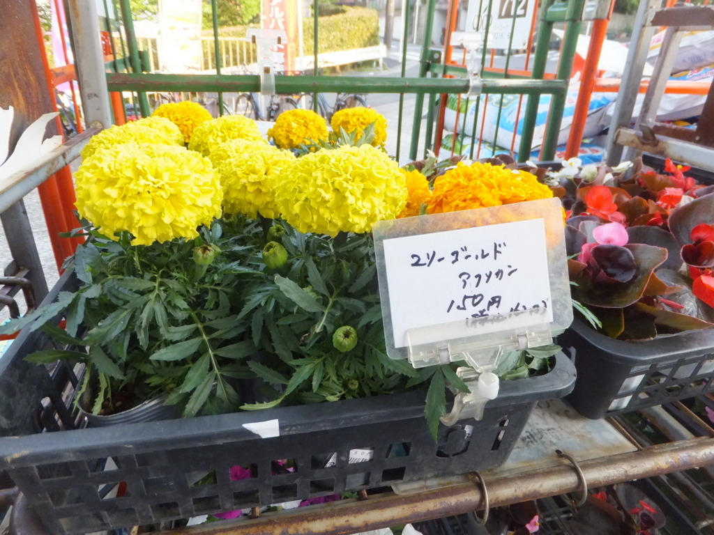 f:id:MAIKALFUJIO:20180422205434j:plain f:id:MAIKALFUJIO:20180422205434j:plain