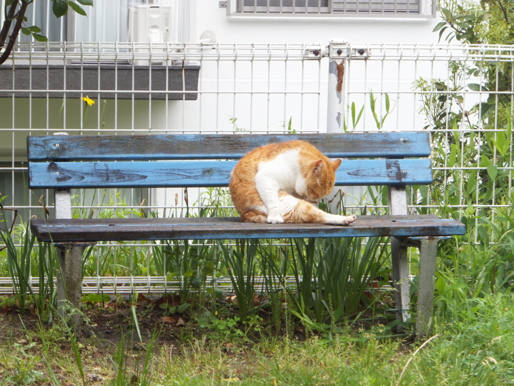 f:id:MAIKALFUJIO:20180425202044j:plain f:id:MAIKALFUJIO:20180425202044j:plain