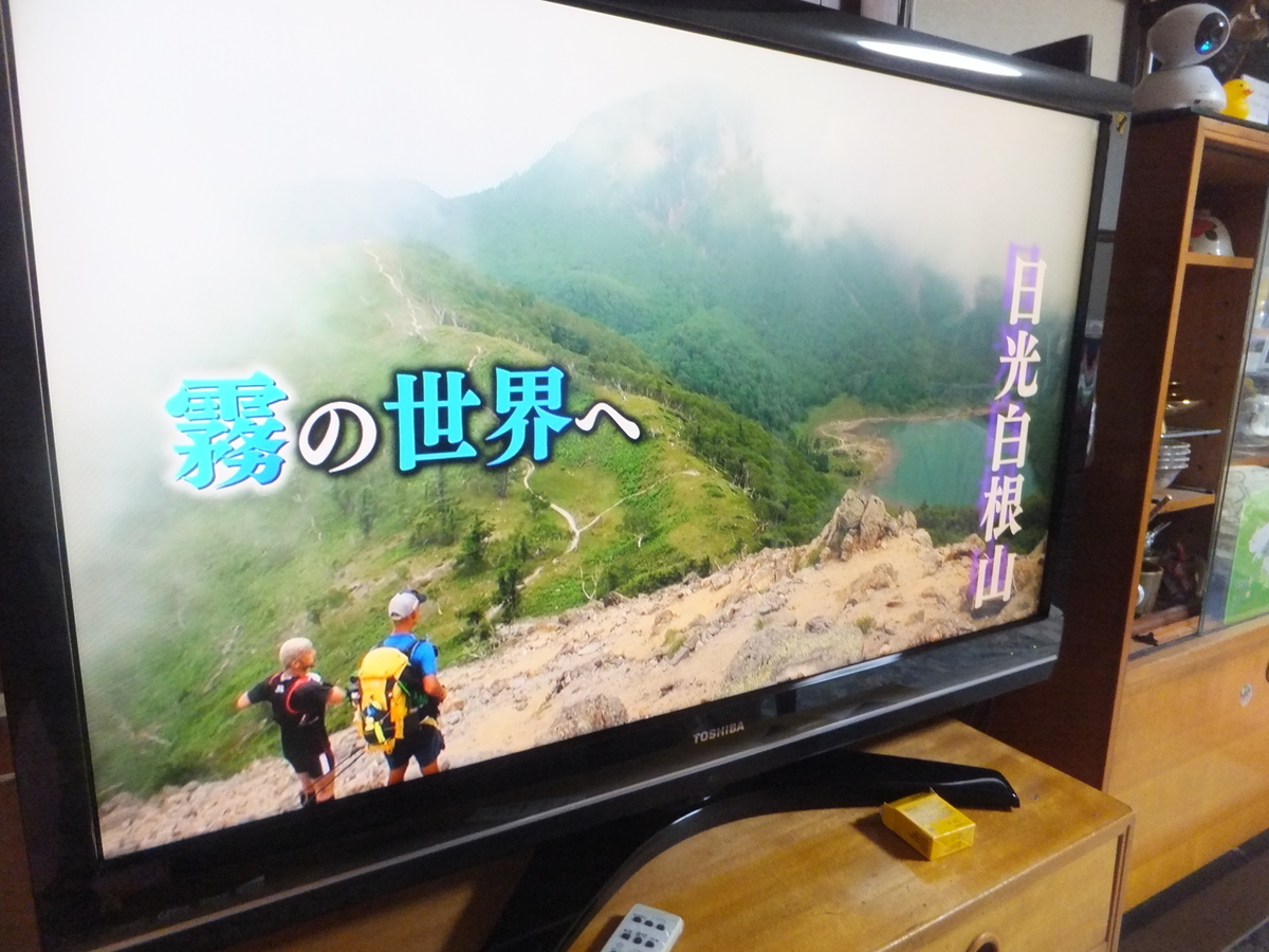 f:id:MAIKALFUJIO:20210512210251j:plain