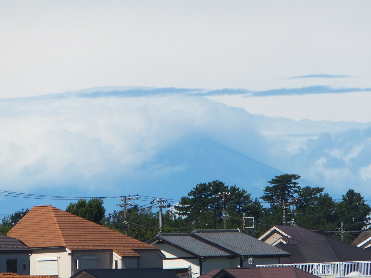 f:id:MAIKALFUJIO:20210819205410j:plain