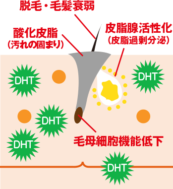 f:id:MAIL874:20200906162401g:plain