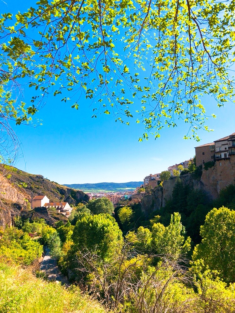 f:id:MAIQOS:20210606064735j:plain