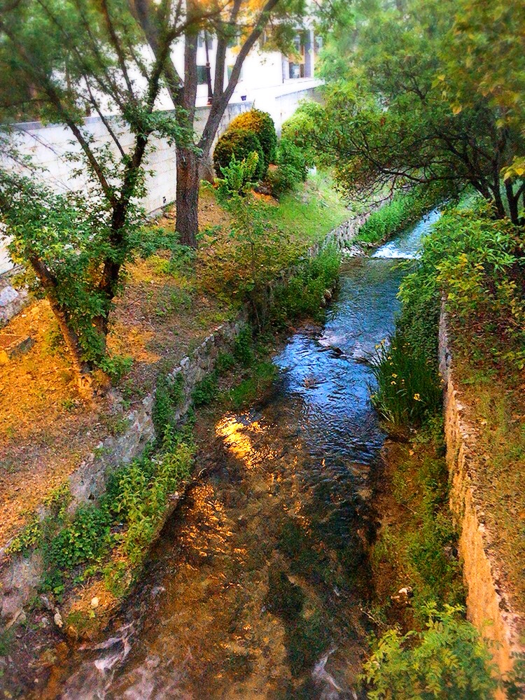 f:id:MAIQOS:20210608071201j:plain