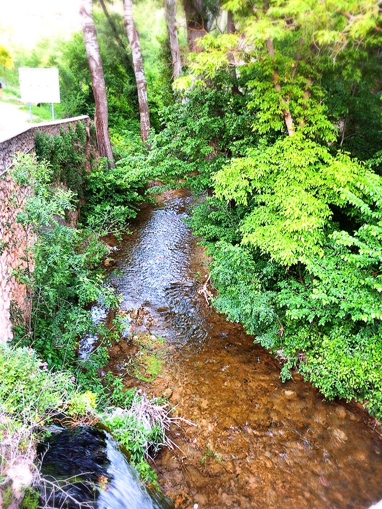 f:id:MAIQOS:20210609074655j:plain