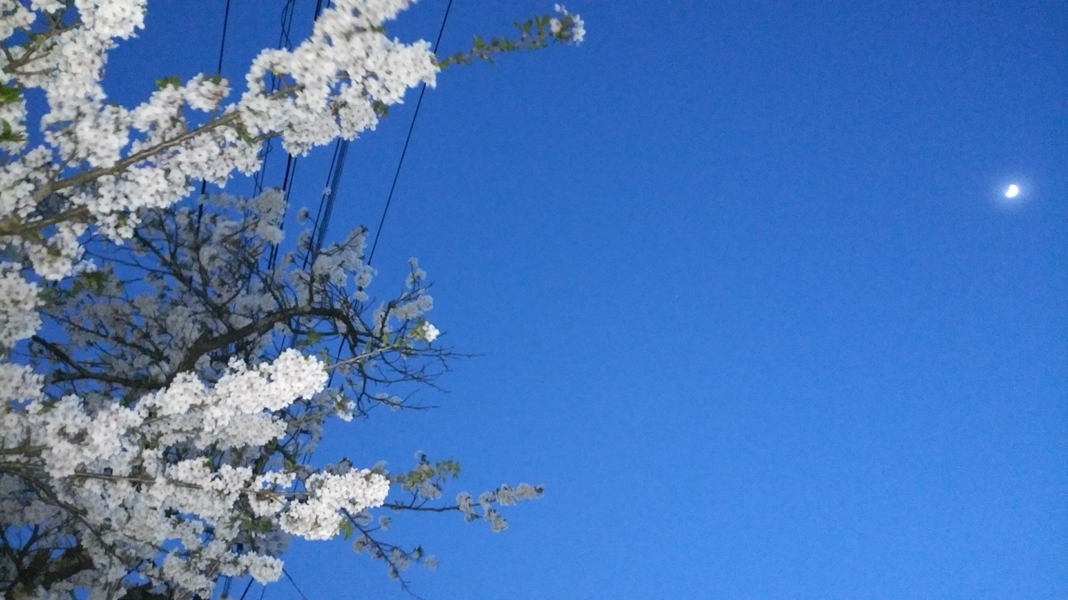 f:id:MAKRURY:20210421220443j:plain