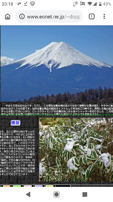 f:id:MAMUMAMU:20190102222243p:image