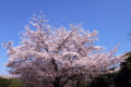 20090407122959