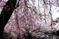20090407124708