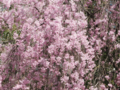 20090407130920