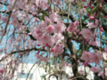 20090407131422