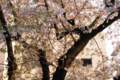 20090407170232