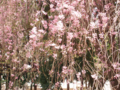 20090421130703
