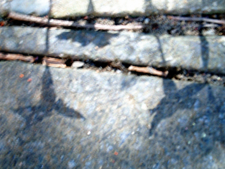 20090426234324