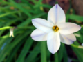 20090426234328