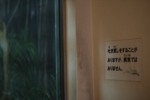 f:id:MAREOSIEV:20091025223048j:image